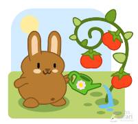 bunny tomato